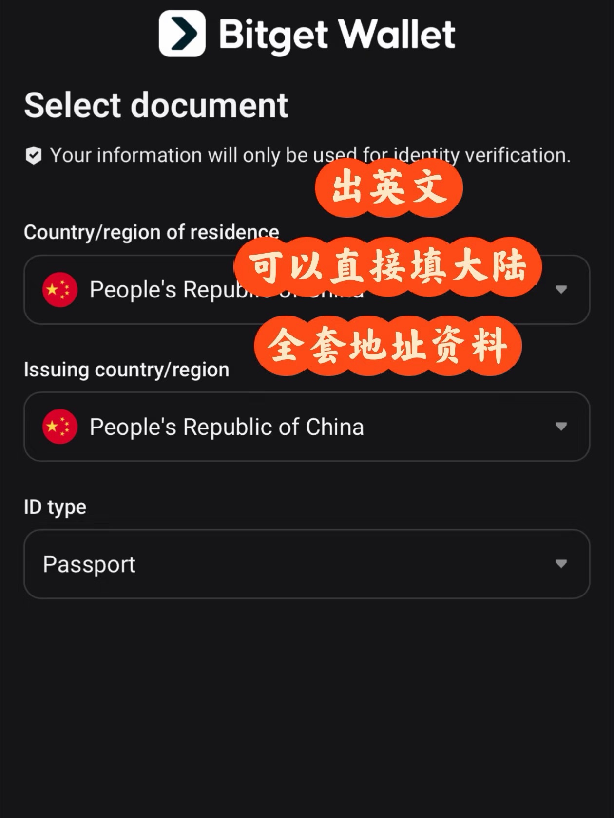 英文 Sumsub 认证界面